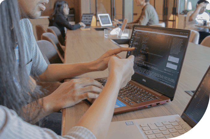 Web Developer Program